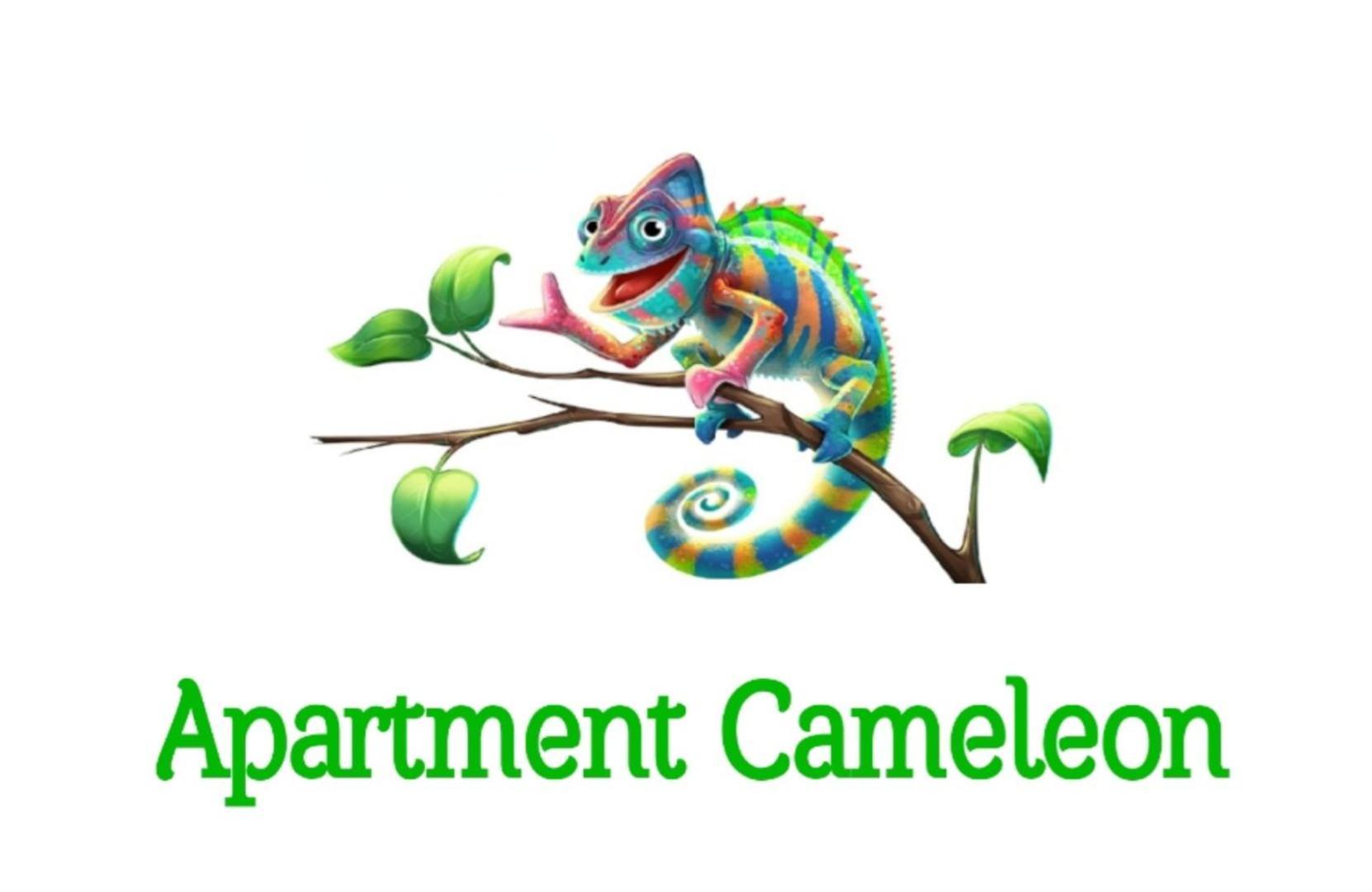 דוברובניק Apartment Cameleon מראה חיצוני תמונה